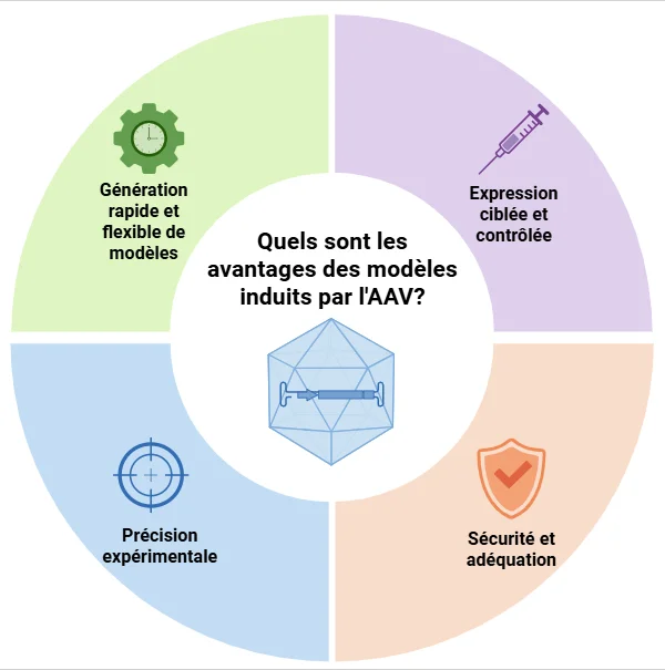 Avantages des modèles induits par AAV